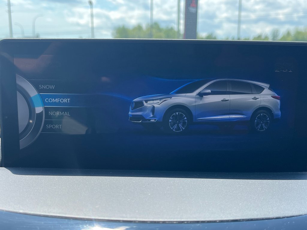 2023 Acura RDX Platinum Elite A-Spec in Thunder Bay, Ontario - 22 - w1024h768px