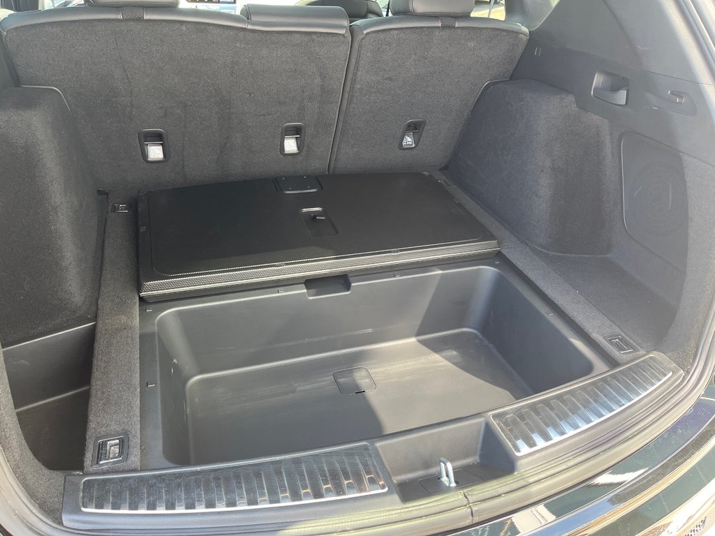 2024 Acura RDX Platinum Elite A-Spec in Thunder Bay, Ontario - 10 - w1024h768px