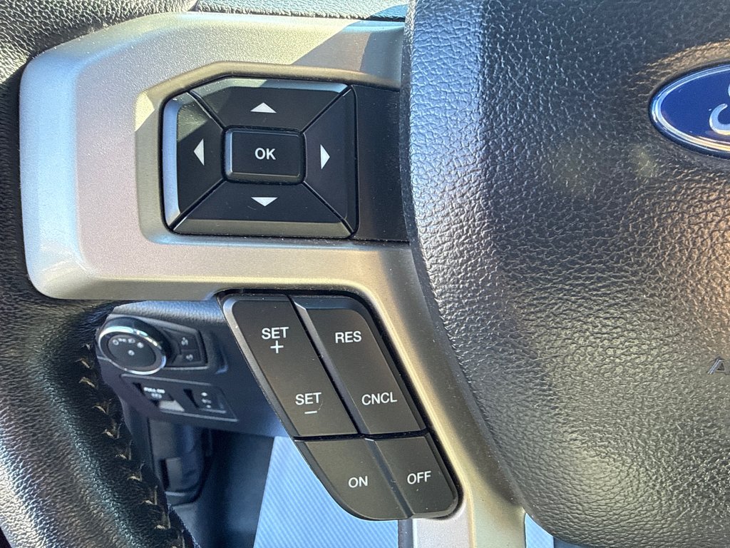 2019 Ford F-150 LARIAT in Thunder Bay, Ontario - 22 - w1024h768px
