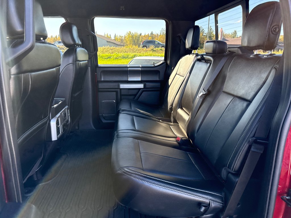 2019 Ford F-150 LARIAT in Thunder Bay, Ontario - 11 - w1024h768px