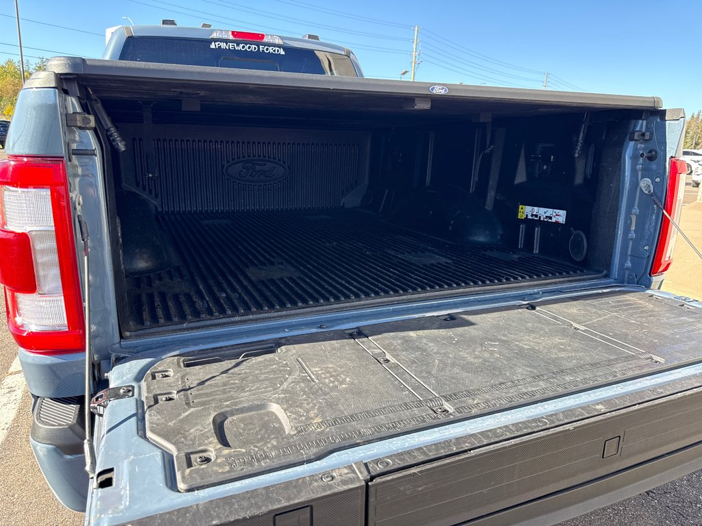 2023 Ford F-150 Platinum in Thunder Bay, Ontario - 6 - w1024h768px