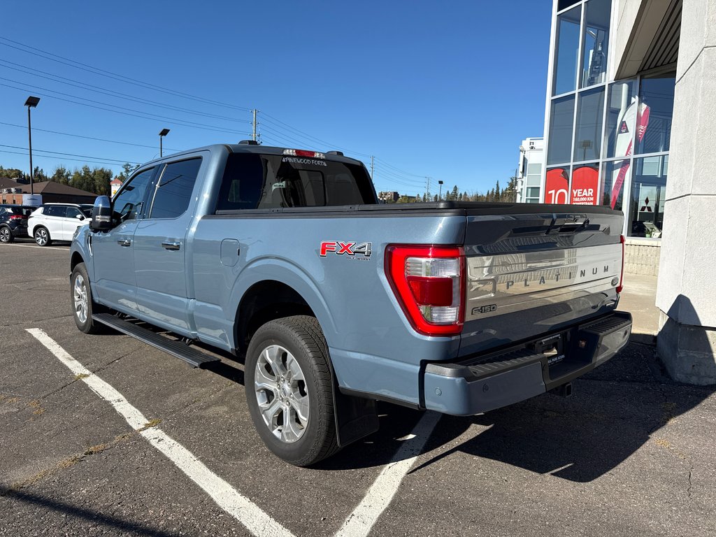 2023 Ford F-150 Platinum in Thunder Bay, Ontario - 3 - w1024h768px