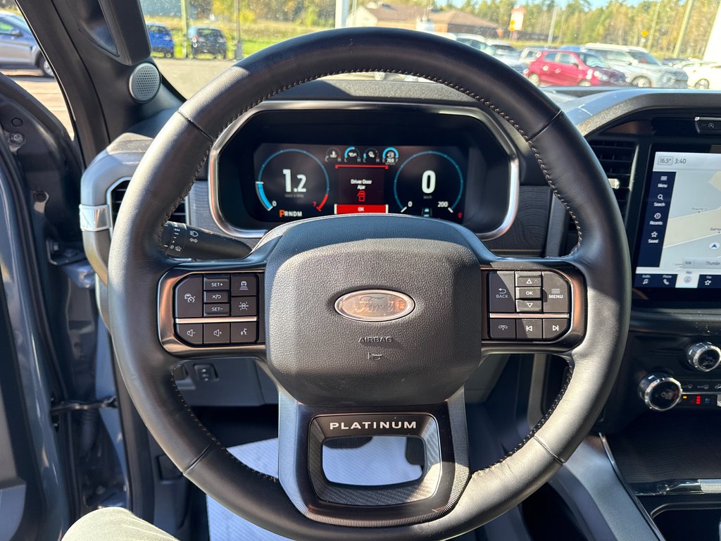 2023 Ford F-150 Platinum in Thunder Bay, Ontario - 17 - w1024h768px