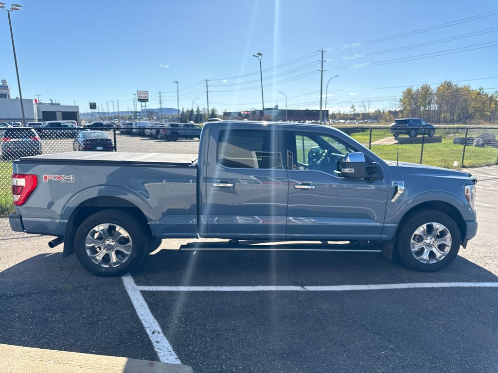 2023 Ford F-150 Platinum in Thunder Bay, Ontario - 7 - w1024h768px