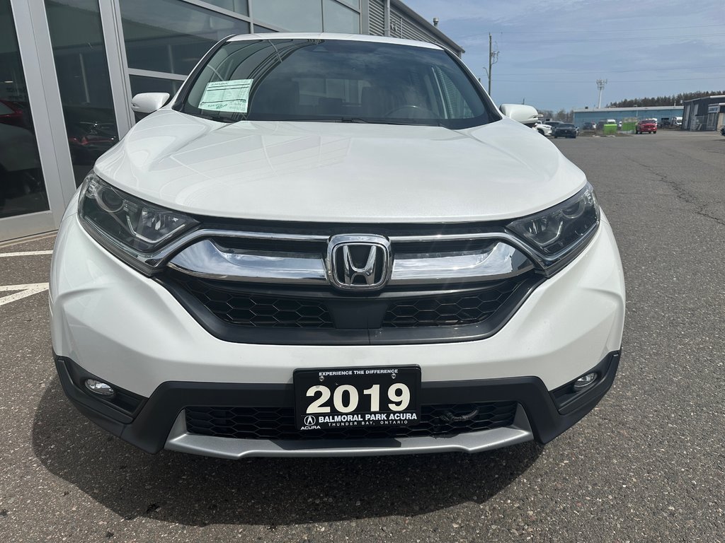 2019 Honda CR-V EX-L in Thunder Bay, Ontario - 8 - w1024h768px