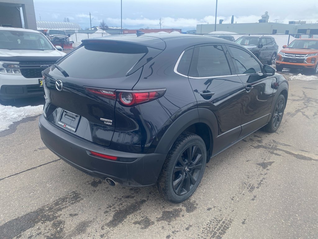 2021 Mazda CX-30 GT w/Turbo in Thunder Bay, Ontario - 4 - w1024h768px