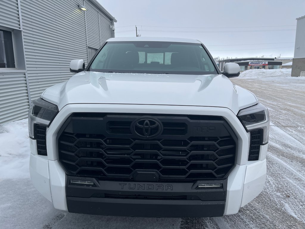 2022 Toyota Tundra SR5 TRD Sport in Thunder Bay, Ontario - 14 - w1024h768px
