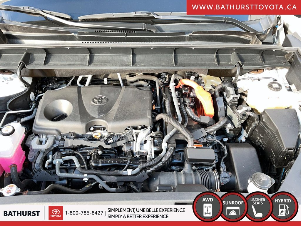 2021 Toyota Highlander Hybrid XLE in Bathurst, New Brunswick - 7 - w1024h768px