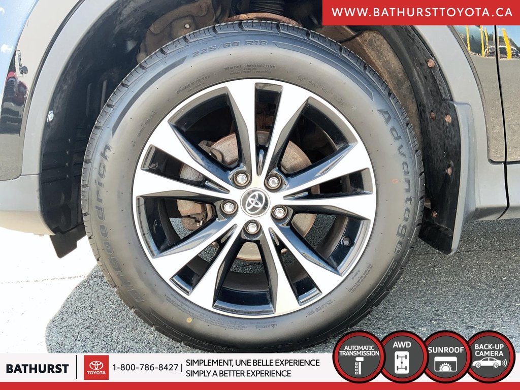 Toyota RAV4 XLE 2015 à Bathurst, Nouveau-Brunswick - 6 - w1024h768px