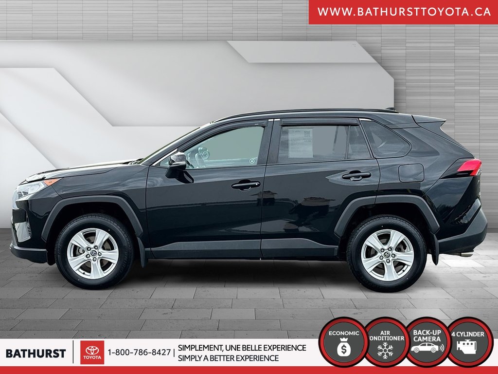 2019 Toyota RAV4 XLE in Bathurst, New Brunswick - 5 - w1024h768px