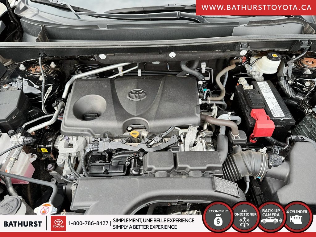 2019 Toyota RAV4 XLE in Bathurst, New Brunswick - 8 - w1024h768px