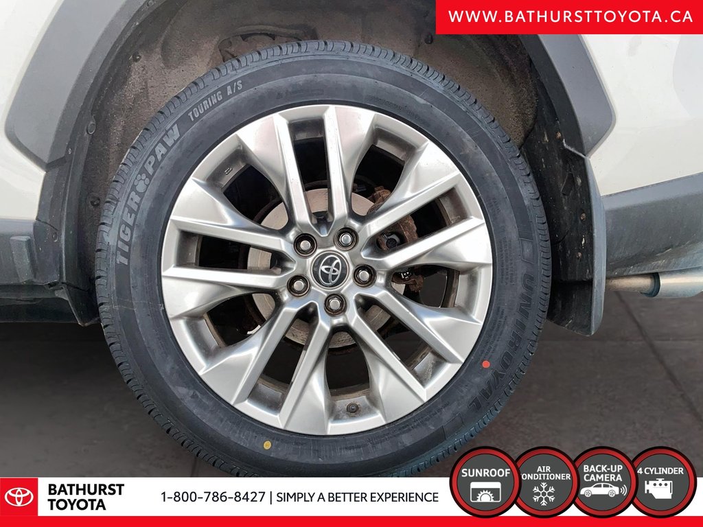 Toyota RAV4 XLE 2019 à Bathurst, Nouveau-Brunswick - 7 - w1024h768px