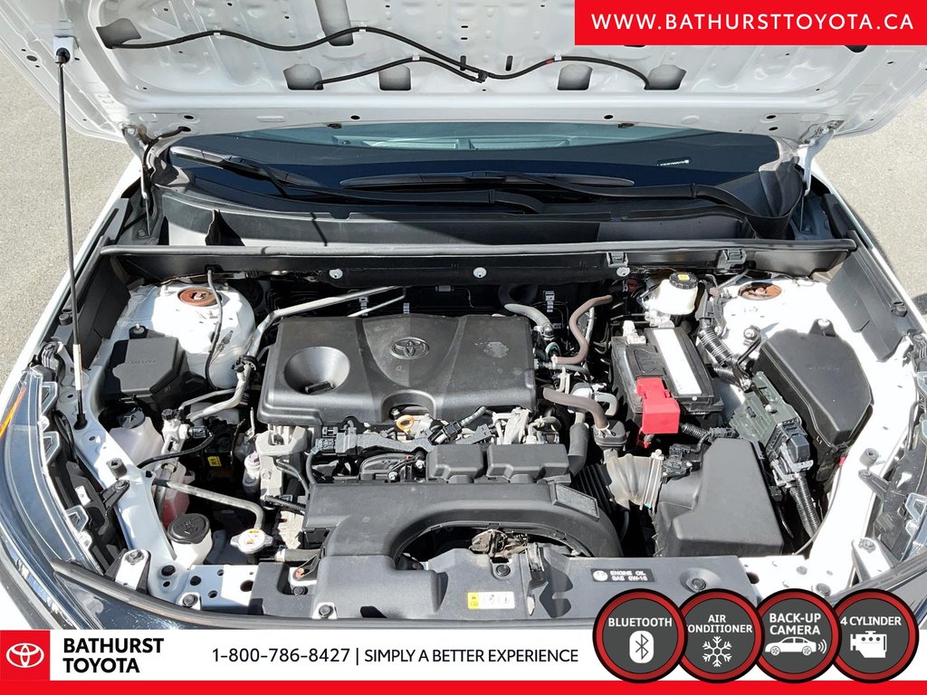 2019 Toyota RAV4 LE in Bathurst, New Brunswick - 8 - w1024h768px