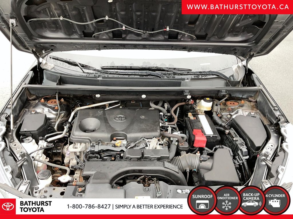 Toyota RAV4 Trail 2019 à Bathurst, Nouveau-Brunswick - 8 - w1024h768px
