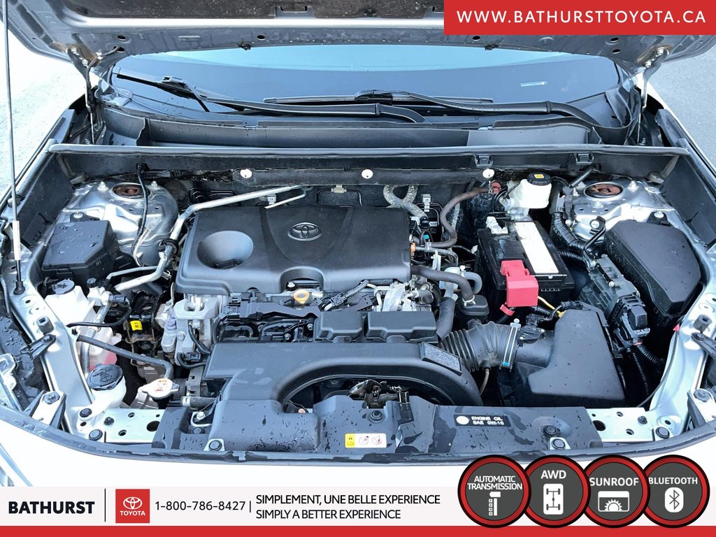 Toyota RAV4 XLE 2020 à Bathurst, Nouveau-Brunswick - 7 - w1024h768px