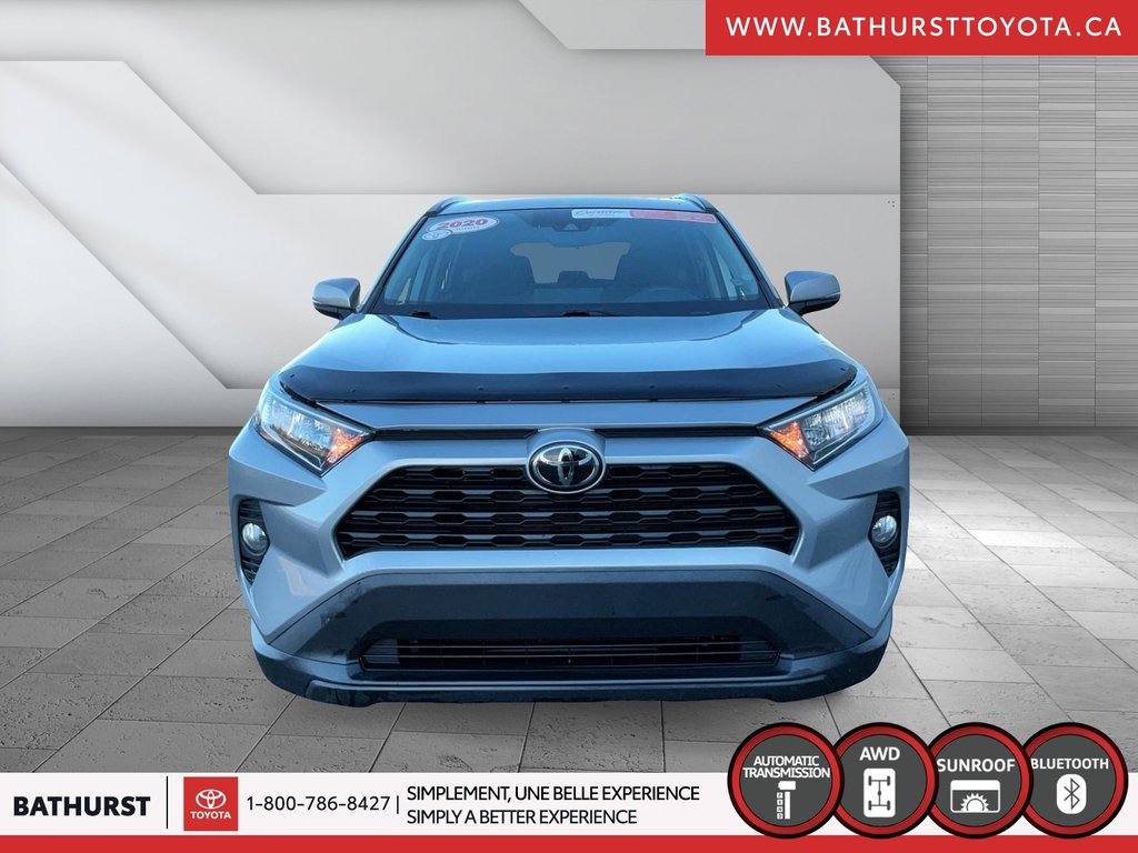 Toyota RAV4 XLE 2020 à Bathurst, Nouveau-Brunswick - 2 - w1024h768px