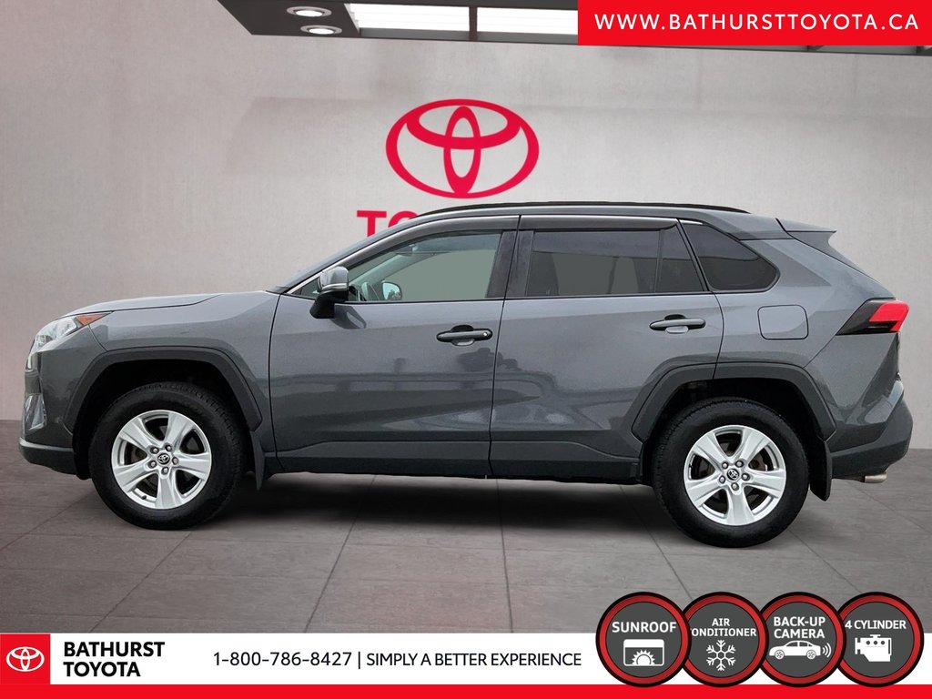2020 Toyota RAV4 XLE in Bathurst, New Brunswick - 5 - w1024h768px