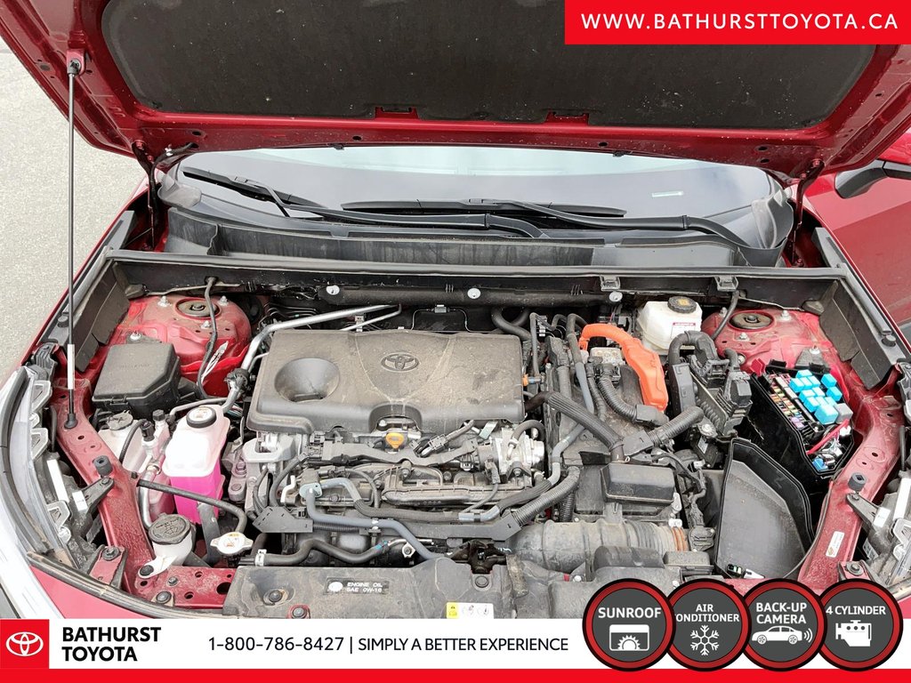Toyota RAV4 Hybrid XLE 2022 à Bathurst, Nouveau-Brunswick - 8 - w1024h768px