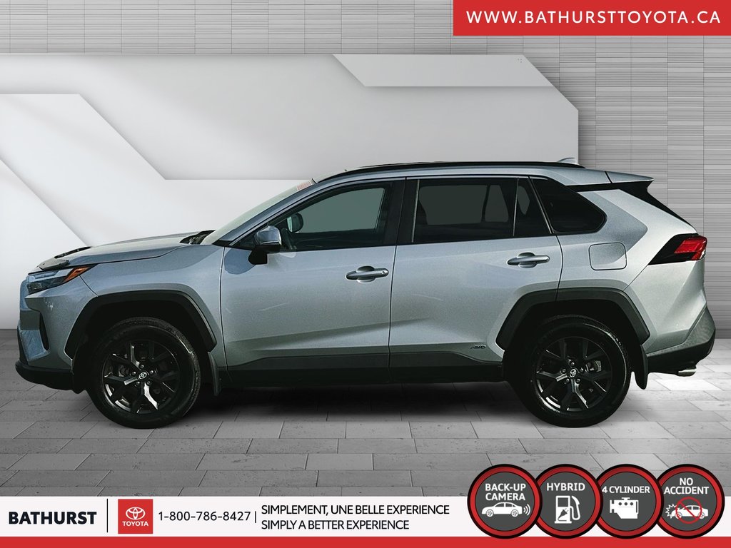 2023  RAV4 HYBRID XLE in Bathurst, New Brunswick - 5 - w1024h768px