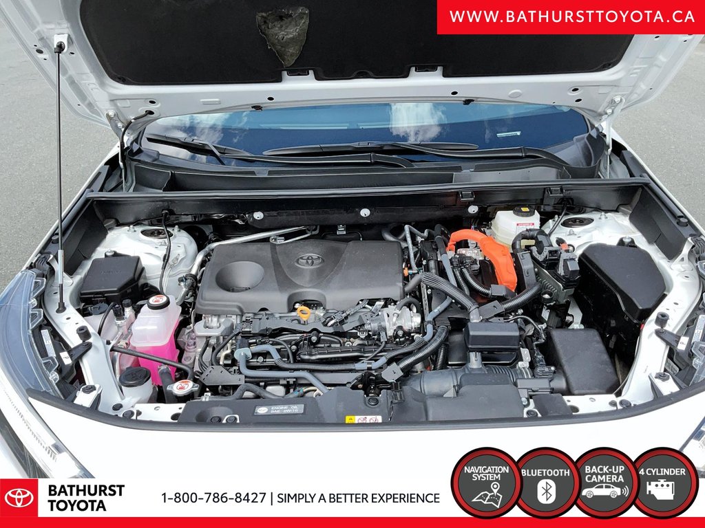Toyota RAV4 Hybrid Limited 2025 à Bathurst, Nouveau-Brunswick - 8 - w1024h768px