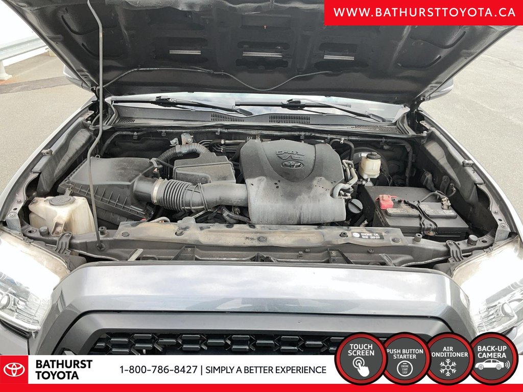 Toyota Tacoma TRD Sport 2017 à Bathurst, Nouveau-Brunswick - 8 - w1024h768px