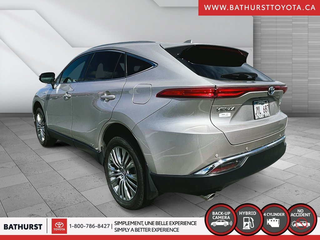 2021  Venza XLE in Bathurst, New Brunswick - 4 - w1024h768px