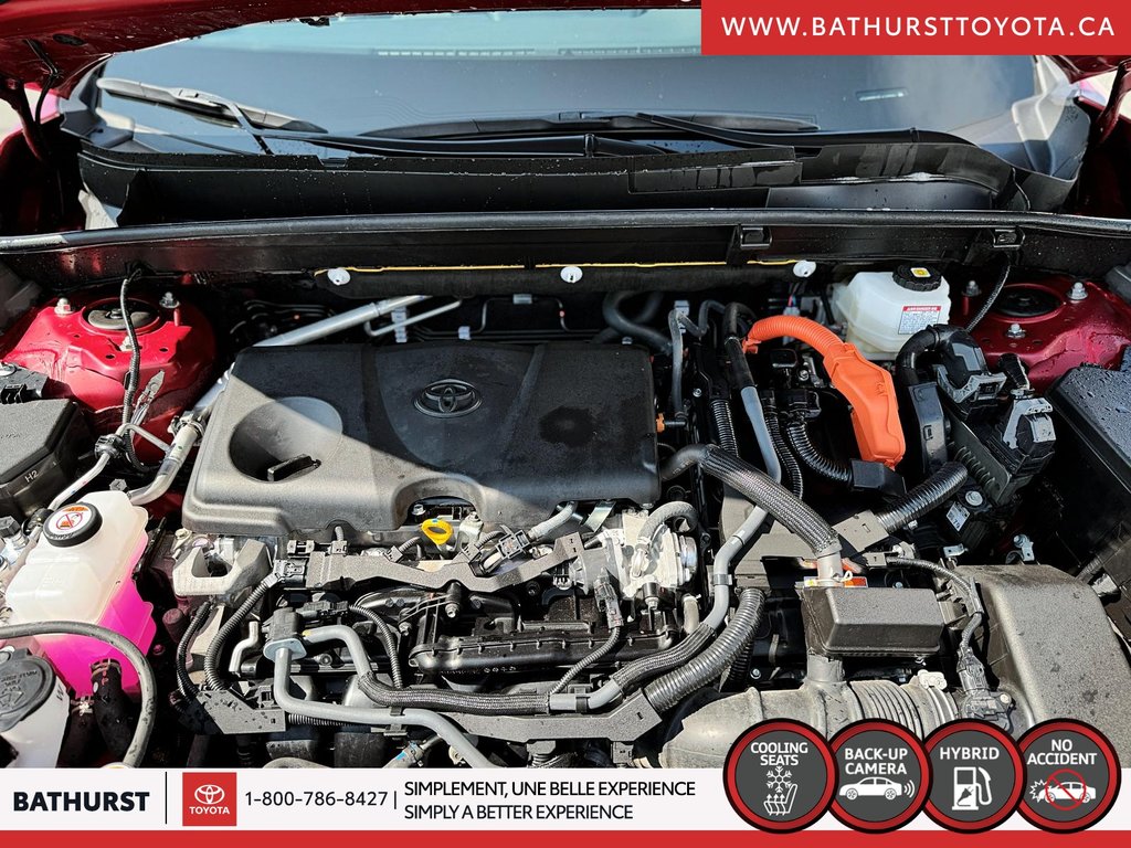 2023 Toyota Venza Limited in Bathurst, New Brunswick - 8 - w1024h768px