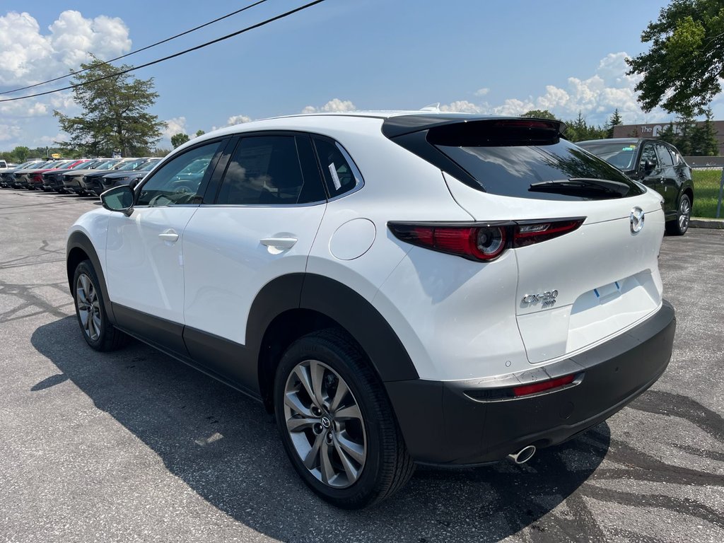 2024 Mazda CX-30 in Pickering, Ontario - 5 - w1024h768px