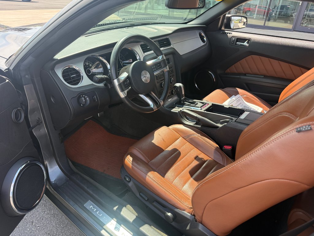 2014 Ford Mustang Convertible GT in Bathurst, New Brunswick - 2 - w1024h768px