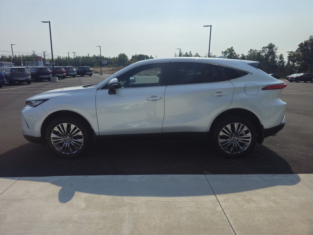 VENZA HYBRID Venza Limited 2023 à Bathurst, Nouveau-Brunswick - 6 - w1024h768px