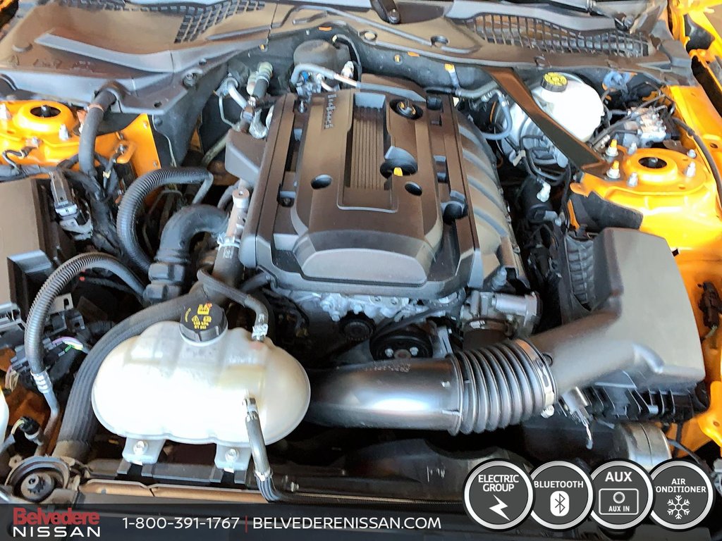 Ford Mustang CONVERTIBLE MANUELLE 6 VITESSES ECOBOOST 2.3 LITRE 2019 à Saint-Jérôme, Québec - 8 - w1024h768px
