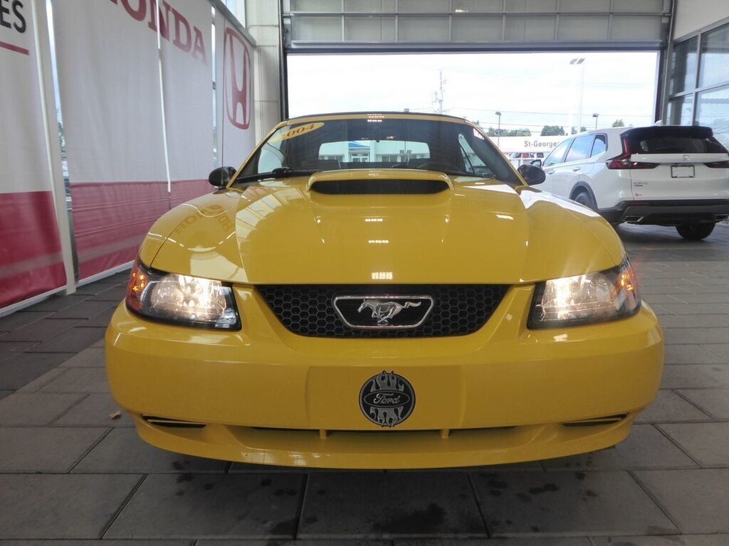 2004  Mustang in Saint-Georges, Quebec - 3 - w1024h768px