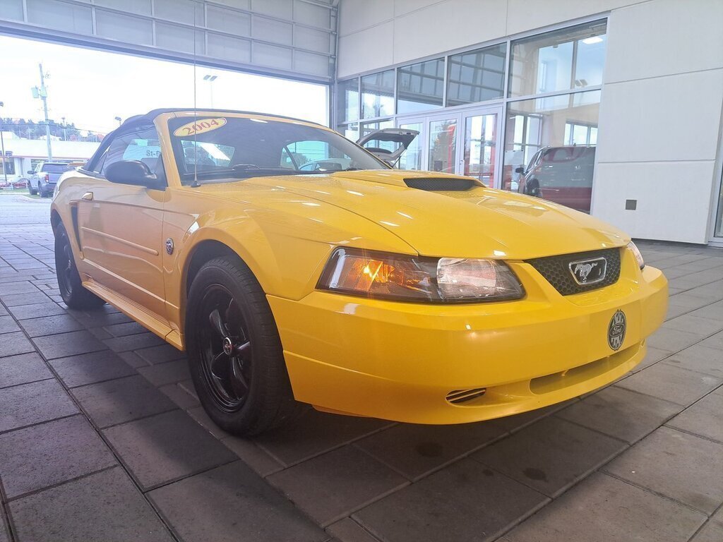 2004  Mustang in Saint-Georges, Quebec - 2 - w1024h768px