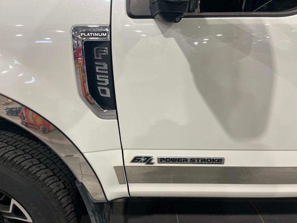 Ford Super Duty F-250 SRW PLATINUM 2020 à Saint-Georges, Québec - 6 - w1024h768px