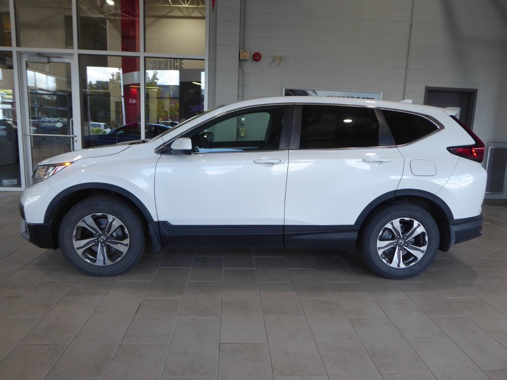 Honda CR-V LX AWD 2020 à Saint-Georges, Québec - 5 - w1024h768px