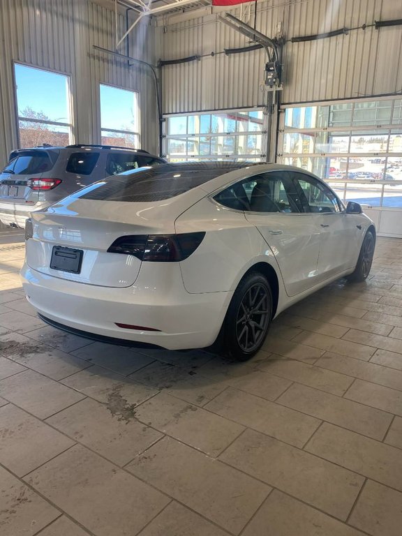 Tesla Model 3 Standard Range Plus 2020 à Saint-Georges, Québec - 3 - w1024h768px
