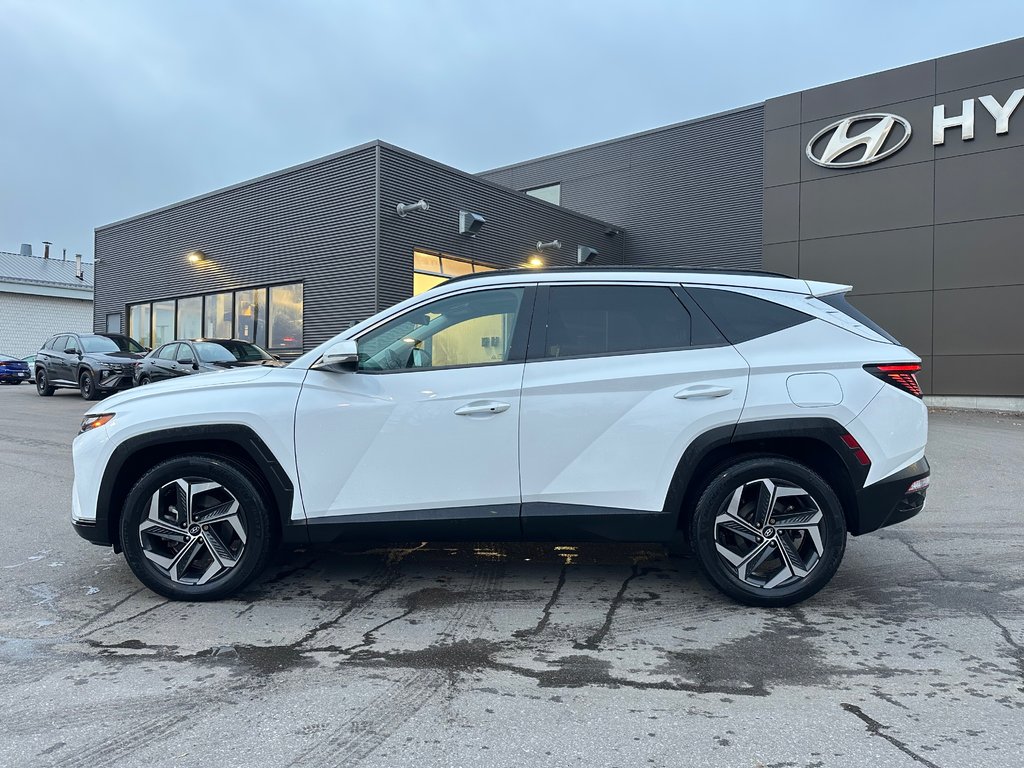 2022 Hyundai Tucson Hybrid in Pickering, Ontario - 2 - w1024h768px