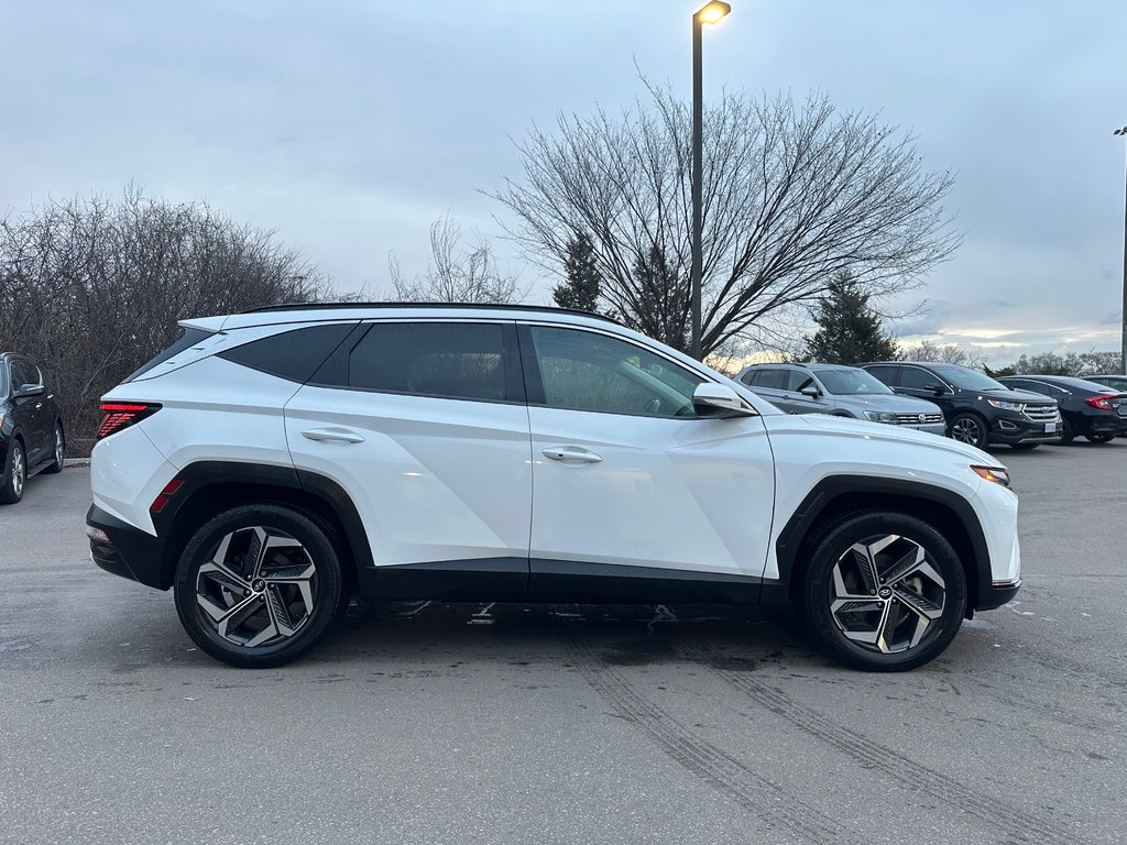 2022 Hyundai Tucson Hybrid in Pickering, Ontario - 6 - w1024h768px