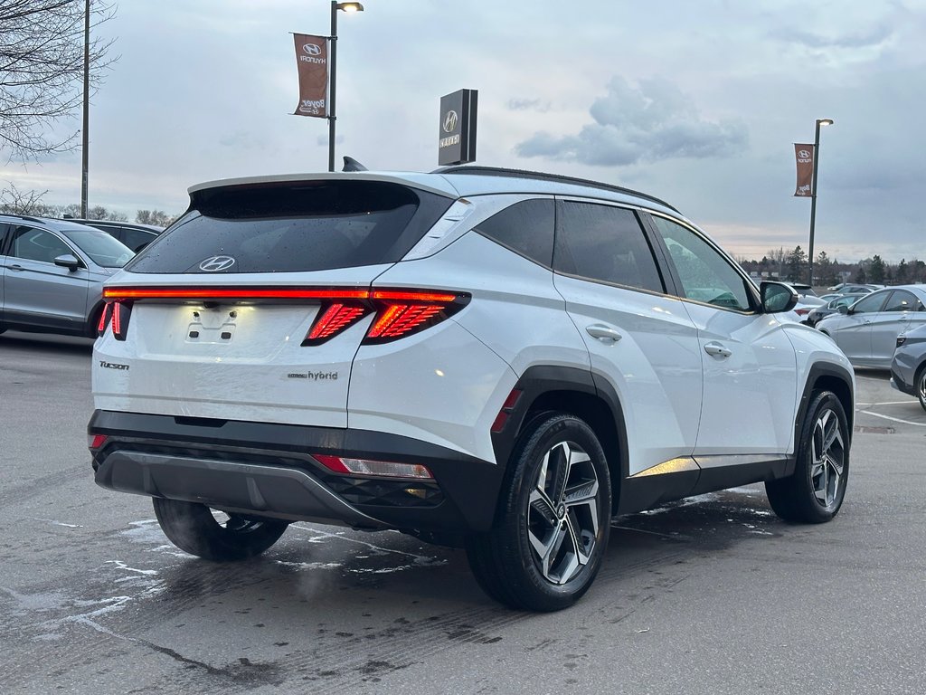 2022 Hyundai Tucson Hybrid in Pickering, Ontario - 5 - w1024h768px