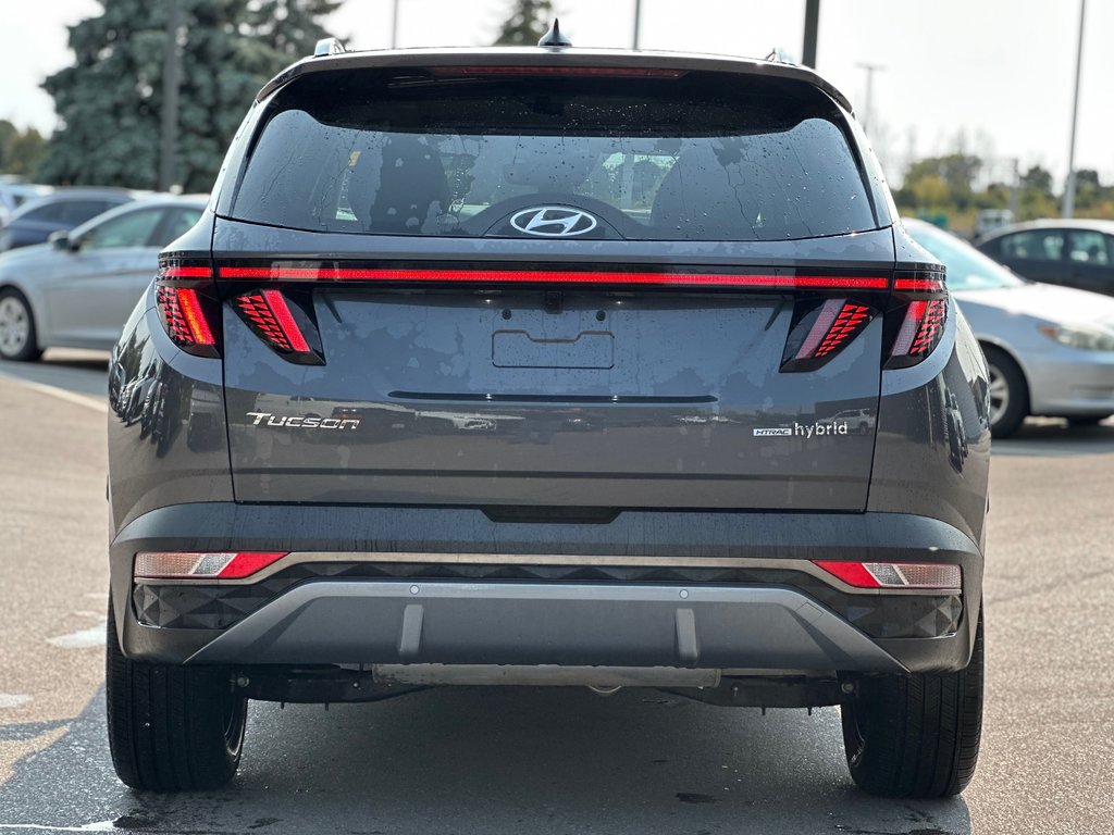 2023 Hyundai Tucson Hybrid in Pickering, Ontario - 4 - w1024h768px