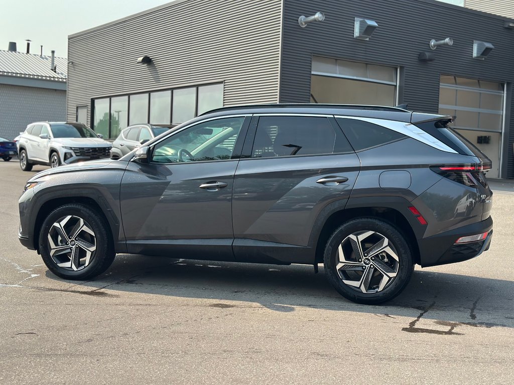 2023 Hyundai Tucson Hybrid in Pickering, Ontario - 2 - w1024h768px