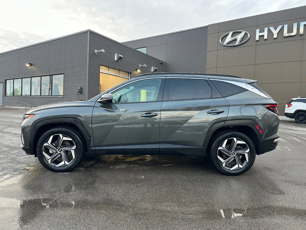 2023 Hyundai Tucson Hybrid in Pickering, Ontario - 2 - w1024h768px