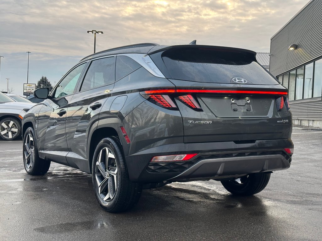 2023 Hyundai Tucson Hybrid in Pickering, Ontario - 3 - w1024h768px