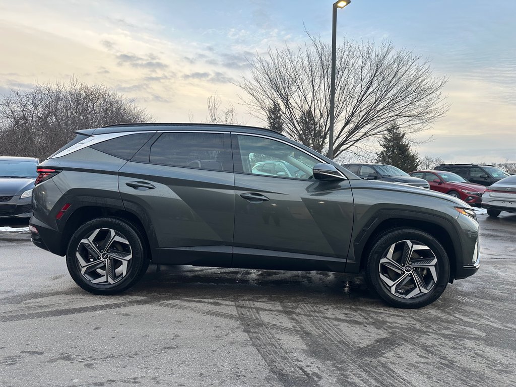 2023 Hyundai Tucson Hybrid in Pickering, Ontario - 6 - w1024h768px