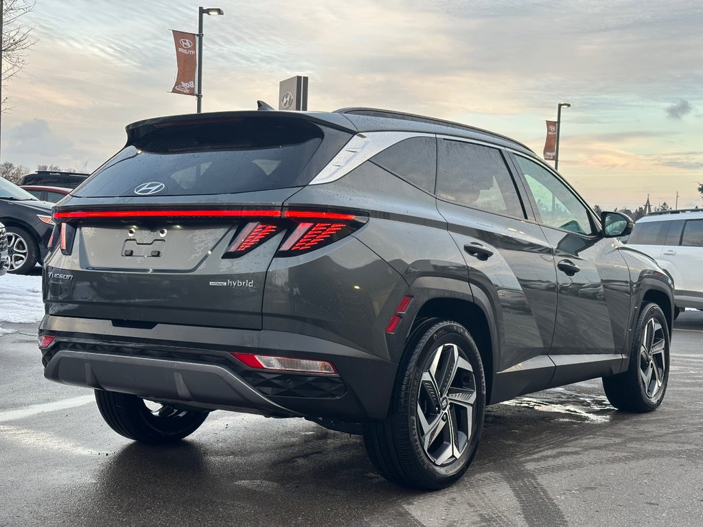 2023 Hyundai Tucson Hybrid in Pickering, Ontario - 5 - w1024h768px