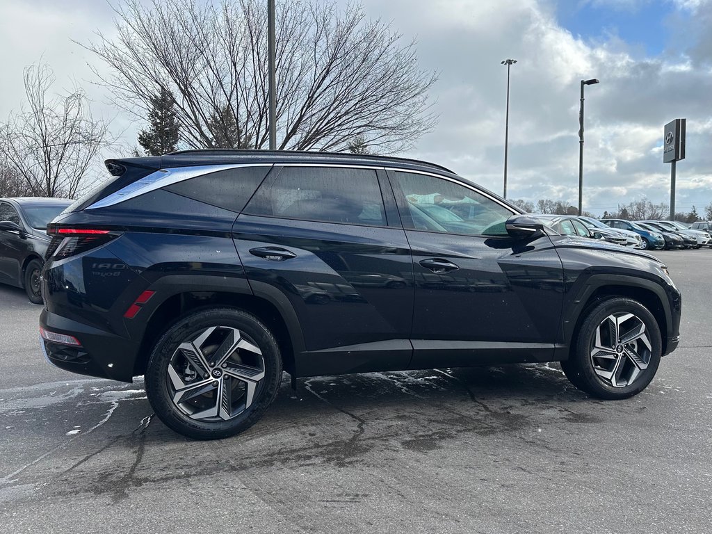 2024 Hyundai Tucson Hybrid in Pickering, Ontario - 6 - w1024h768px