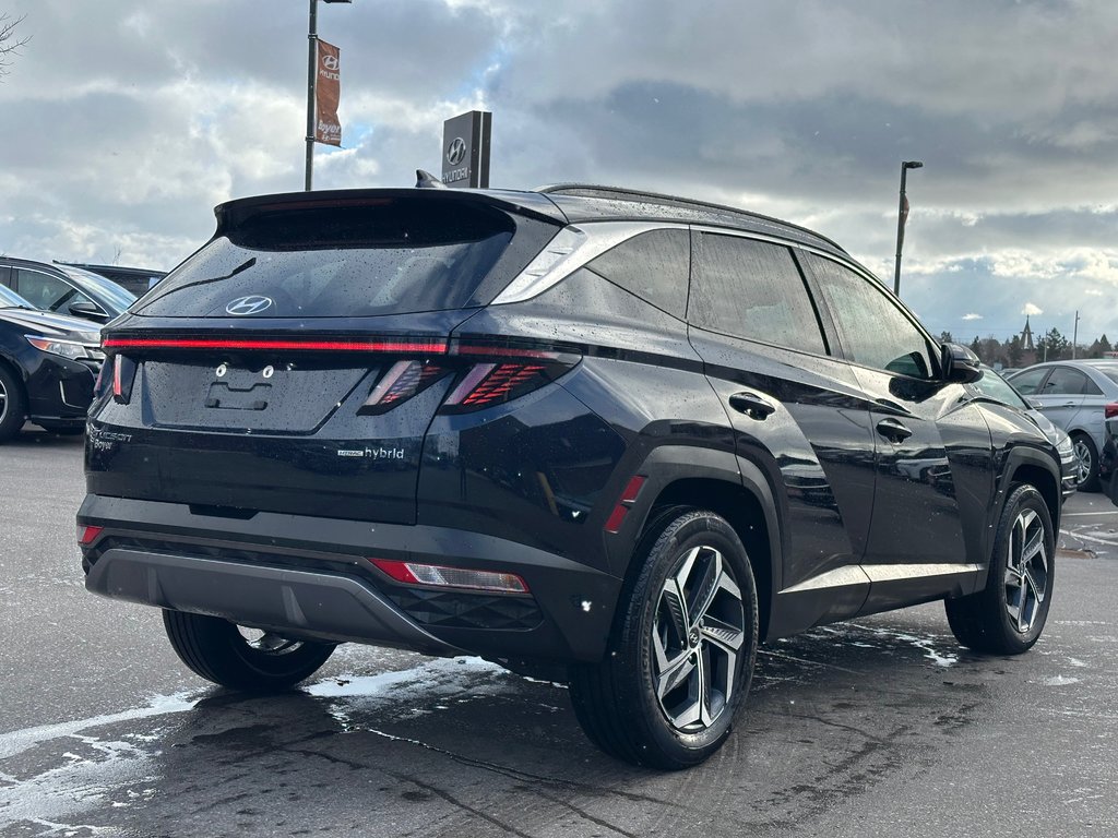 2024 Hyundai Tucson Hybrid in Pickering, Ontario - 5 - w1024h768px