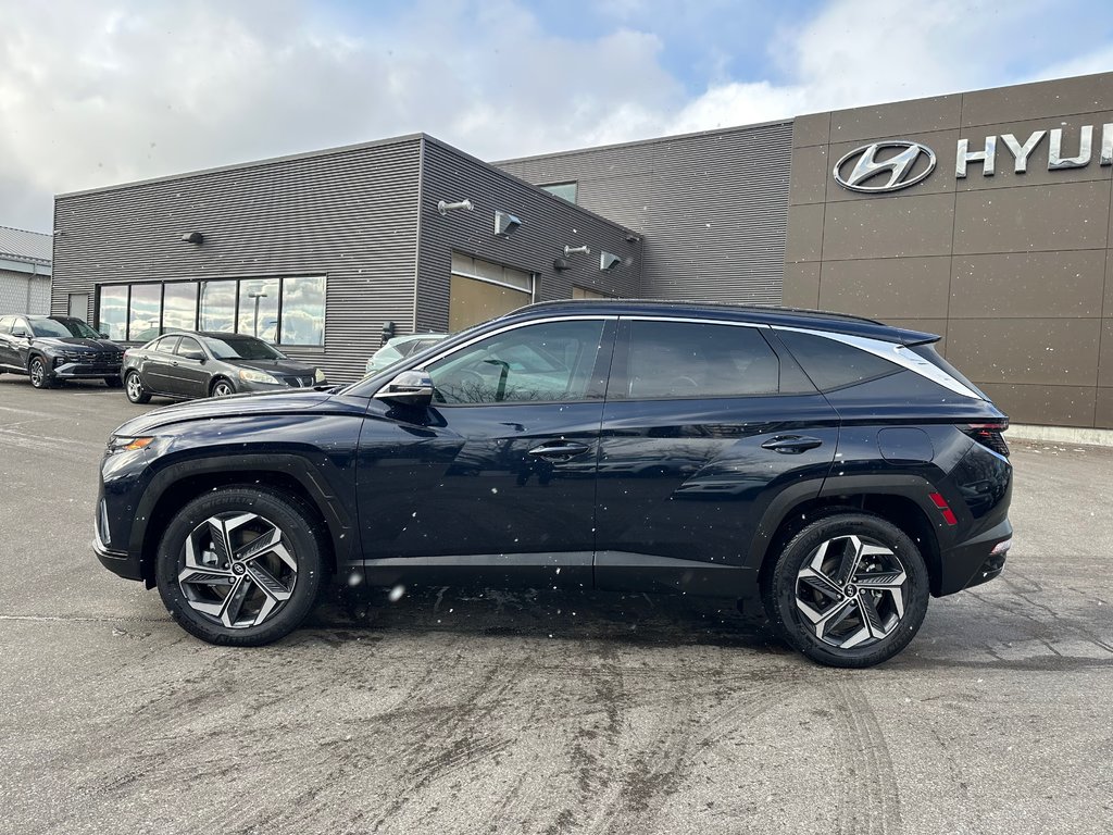 2024 Hyundai Tucson Hybrid in Pickering, Ontario - 2 - w1024h768px