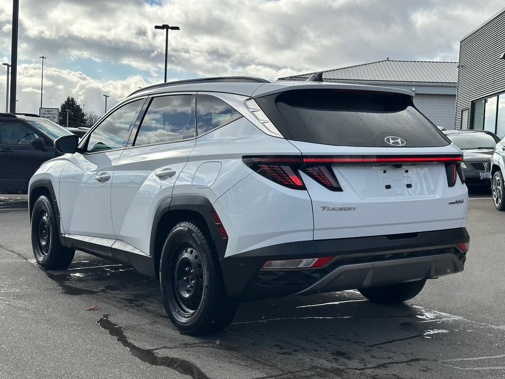 2023 Hyundai Tucson in Pickering, Ontario - 3 - w1024h768px