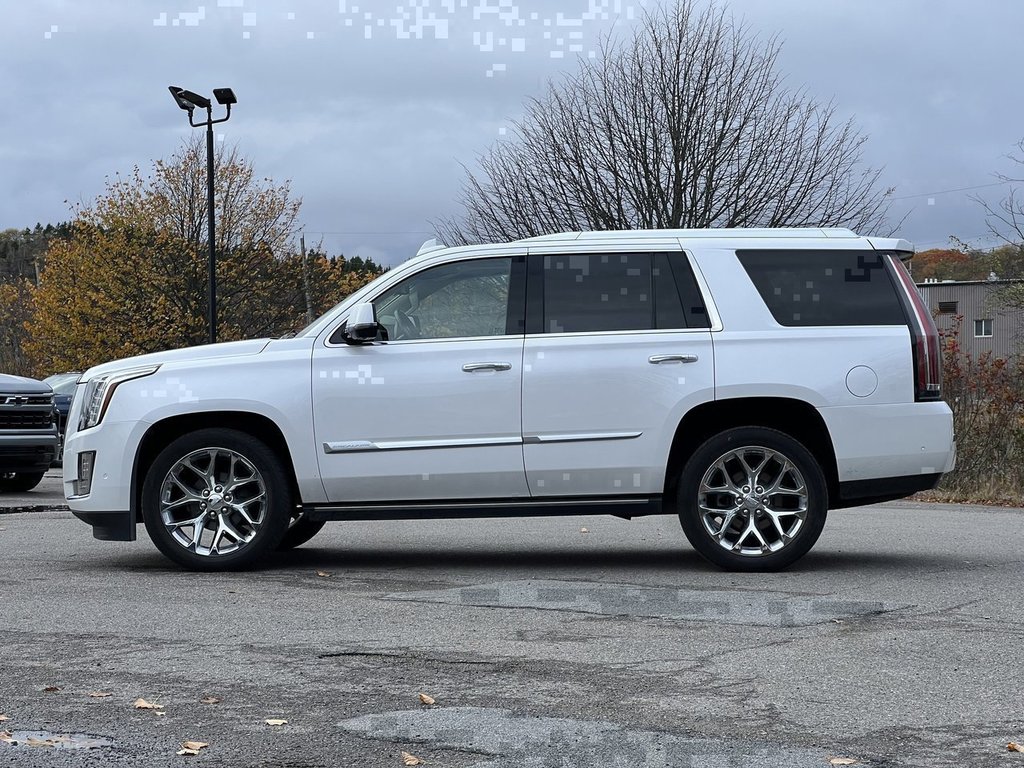 2020 Cadillac Escalade in Saint John, New Brunswick - 8 - w1024h768px